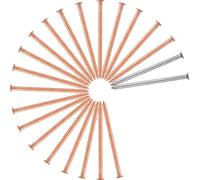 Rersduyt 20Pcs Copper Nails for Killing Trees Stump Root 3.5 Inch Long Nail Spikes, Stump Removal Spikes with 2 Pcs Steel Nails