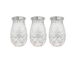 Rersduyt 3pcs Pineapple Cocktail Glasses Embossed Juice Glasses for Cocktails and Drinks