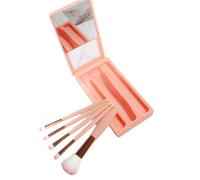 Rersduyt Makeup Brushes Set Easy-Taken Makeup Brush Set with Case and Mirror Small Cosmetic Brushes Perfect for Travel D