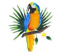 Rersduyt Metal Parrot Wall Art Decor Outdoor Birds Wall Fence Decorations Colorful Parrot Figure for Outdoor Garden Decorations A