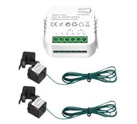 Rersduyt Tuya WiFi Smart Meter Digital Energy Meter Smart Energy Meter 80A Current Transformer Solar PV Power Production Consumption Monitor 2CT