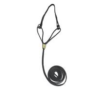 Resco Professional Cordo-Hyde Martingale Dog Show Lead, 3/16 x 42-Inch Long, Black