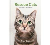 Rescue Cats: Portraits and Stories