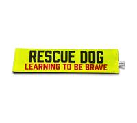 Rescue Dog - Learning to be Brave - Awareness Lead Sleeve
