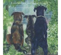 Rescue Dogs BLANK birthday greeting card - What are we looking for?