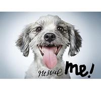 Rescue Me!: Dog Adoption Portraits and Stories from New York City