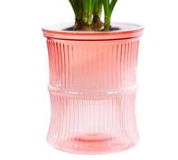 Reservoir Container Pots - Small, Clear, Transparent Potting Soil Pots, Soil Culture Flower Pot in Pot for Living Room, Watering Planter for Entrance, Bathroom, Bedroom
