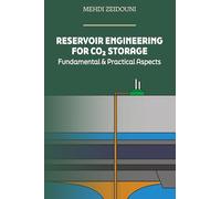Reservoir Engineering for CO₂ Storage: Fundamental & Practical Aspects