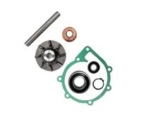 ResGcx Rebuilt Kit Fit For Circulation Pump AD41/AQADA40/AQAD41/D41 3580784/3809412/3803869/876794/876544