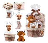 Resholder 8 Pcs Highland Cow Gift Set for Women Christmas Include Highland Cow Plush Animal Throw Blanket Woven Basket Keychain Mug Makeup Bag Socks Greeting Card for Birthday Gifts