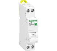 Resi9 XP - Modular Circuit Breaker - 1P+N - 16A - C Curve - Paintable
