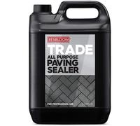 Resiblock Trade Clear 171755 5Ltr