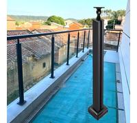 Residential Balcony Glass Panel Fencing System, Outdoor Glass Railing for Hand Railing Round Or Square, Black 10mm Toughened Glass Spigots Clamp Outdoor(Mid Post,75cm/30 in)