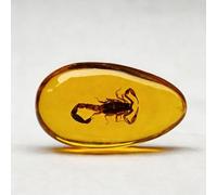 Resin Amber Insect Specimen - Dragonfly/Butterfly/Cicada/Scorpion/Beetle/Wasp/Crab/Centipede Replica, 8 x 4 cm Educational Display & Collectible, Lemon Yellow Paperweight (Scorpion)