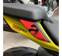 Resin Bike Motorcycle 3D Stickers Compatible with Aprilia Tuono-RS 660 2020-2023. Rear Passenger Handles Protections from Impact and Scratches. Resin Stickers - Gadget Moto