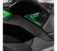 Resin Bike Motorcycle 3D Stickers Compatible with Kawasaki Ninja 1000 SX 2024-2025. Bike Tank Side Protector from Impact and Scratches. Sticker 3D Resin Gadget Moto