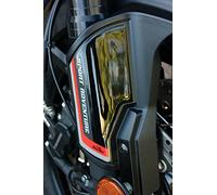 Resin Bike Motorcycle 3D Stickers Compatible with Suzuki V-Strom 1000 2014 2018. Fender Side Plates Protection from Bumps and Scratches. Pair of Resin Stickers - Gadget Moto