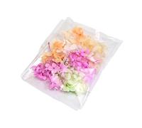 Resin Case Bouquet with Preserved & Baby's Breath Everlasting Floral Home Decor Wedding Dried Flower Arrangement Decoratioin