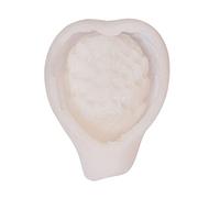 Resin Coaster Molds - Resin Cast Wing Feather Dish Mold - Silicone Agate Coaster Mold - Agate Slices Coasters - Home Decor