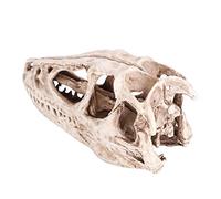 Dinosaur Skull Model, Resin Dinosaur Skull, Teaching Tool Resin Simulated Dinosaur Skull Model Simulated Animal Skeleton for Office Classroom Home Student