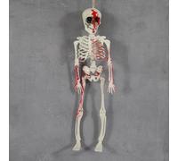 Resin Dog Ornament Decorations, 3ft Full Body Posable Skeleton Realistic Plastic Bones Movable Joints for Halloween Party Yard Props Indoor Outdoor Ornaments Outdoor (A, 40x13x5cm)