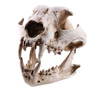Resin Dog Skeleton Skull Teaching Model 1PCS