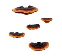 Resin Ganoderma Mushroom Statues 5pcs Weatherproof