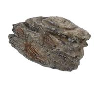 Resin Insect Specimen for Display, Realistic Brown Educational Model