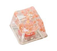 Resin Keyboard Keycaps R4 Escape Key Custom Craft