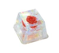 Resin Keycaps, Dry Flowers Game Keyboard Keycap, Game Keyboard Keycap, Replacement, Shine Through Translucent, R4 Keycap for Mechanical Keyboard