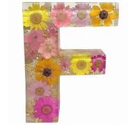 Resin Ornament Kit, Resin Letters with Flowers, Dried Floral Resi N Night Light Letter with LED Lights, Endless Custom Decor Possibilities (F)