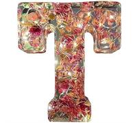 Resin Ornament Kit, Resin Letters with Flowers, Dried Floral Resi N Night Light Letter with LED Lights, Endless Custom Decor Possibilities (T)