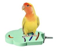 Resin Perch Support for Paws - Parakeet Perches | Physical Activity and Home Training for Agapornis, Parakeets, Cochorites and Conures