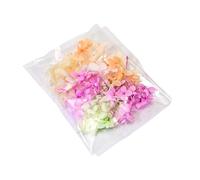 Resin Preserved Real Flower Arrangement Small Bouquet with Dried Baby ' s Breath and Hydrangeas Home Decoration Preserved Arrangement Everlasting Home Decor