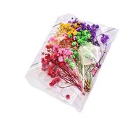 Resin Preserved Real Flower Arrangement Small Bouquet with Dried Baby ' s Breath and Hydrangeas Home Decoration Preserved Arrangement Everlasting Home Decor