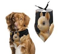 Resin Squirrel Dog Bandanas for Feeding Grooming, Triangle Pet Bibs Washable Pets Scarf for Cats & Dogs