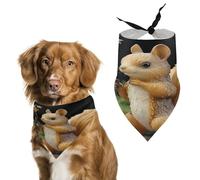 Resin Squirrel Easter Dog Bandanas for Small Medium Large Dogs,Cat Dogs,Pet Scarf - Polyester Cute Bibs.Triangle Pet Scarf for Puppy Pet,Personalized Birthday/Party Fun Idea Gift