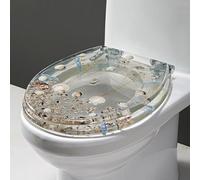 Resin Toilet Seat Elongated, Ocean Series Decorative Toilet Seats Cover with Non-Slip Bumpers, No Slam Slow Close Toilet Lid, Quick Release for Easy Cleaning,Style E