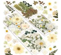 Resiners 100Pcs Dried Pressed Flowers for Resin Molds, White Real Natural Dried Flowers Dry Leaves kit for Wedding Scrapbook Supplies Card Making Resin Jewelry Making Soap Candle DIY Crafts