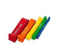 Resistance Band Level 2 Green 208 x 0.45 x 2.1 cm 1 Piece