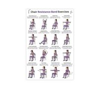 Resistance Band Workout - Full Body, Upper Body And Chair Workout Diagrams Canvas Poster Wall Art Decor Print Picture Paintings for Living Room Bedroom Decoration 16" L X 24" W