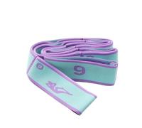 Resistance band Yoga Stretch Strap Sports Exercise Resistance Bands for Dance Gymnastics Workout Belt for Physical Therapy(Blue Purple 9)
