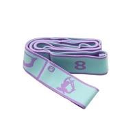 Resistance band Yoga Stretch Strap Sports Exercise Resistance Bands for Dance Gymnastics Workout Belt for Physical Therapy(Blue Purple 8)
