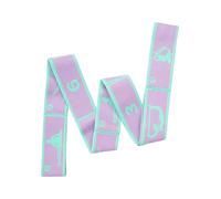 Resistance Bands - Elastic 8 Section Exercise Straps, Flexibility and Strength Training | Home Fitness Dance Yoga for Adults and Kids, Pilates, Gymnastics, Home Workout, Kids, Women, Adults, Improve