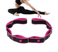 Resistance Bands For Exercise,8 Sections Elastic Fitness Equipment - Fitness Equipment with Numbered Bands for Toning | For Muscle Strength Yoga Pilates Gym Home Full Body