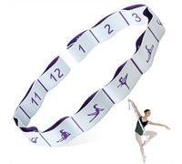 Resistance Bands, Long Fabric Stretch Strap Elastic Yoga Stretching Strap Multi-Loop for Physical Therapy, Pilates, Yoga, Dance & Gymnastics Exercise and Flexible Pilates 12 Loops (Light blue)