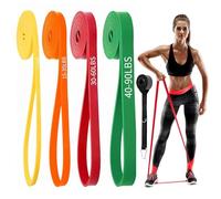 Resistance Bands Set,4 Levels Pull Up Asistance Bands with Door Anchor & Carrying Bags, Exercise Workout Bands for Men Women Body Stretching, Strength Training, Yoga Home & Gym (4 Colors)
