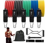 Resistance Bands Set with Handles, Door Anchor & Ankle Straps - 5 Level Pull Up Assistance Bands, Full Body Workout & Strength Training (Pack of 11)