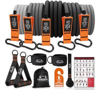 Resistance Bands with Handles, 175lb Exercise Bands for Working Out, Fitness Bands, Workout Bands with Door Anchor and Ankle Straps, Physical Therapy, Yoga, Strength Training Home Gym Equipment