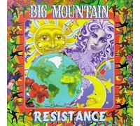 Resistance by Big Mountain